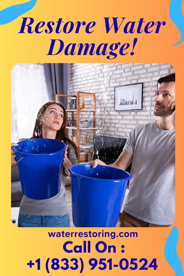 water restoration Precision Water Removal Partners Grand Junction
