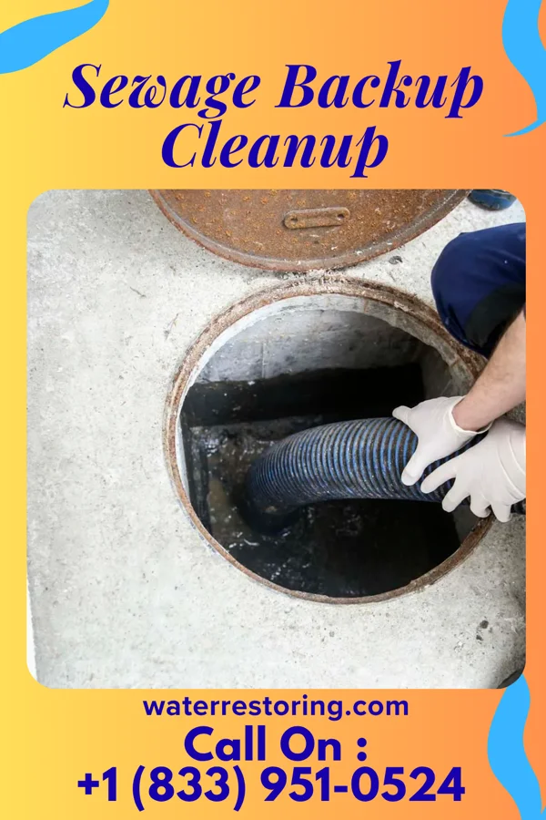 Sewage Backup Cleanup in Grand Junction, TN