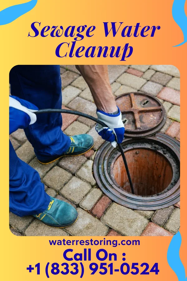 Sewage Water Cleanup in Grand Junction, TN